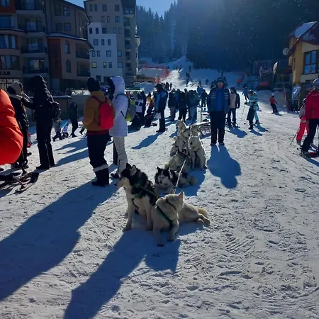 в стената, пампорово *