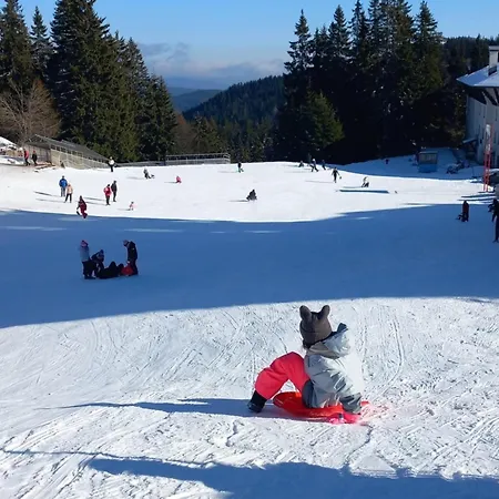 в стената, пампорово Apartment